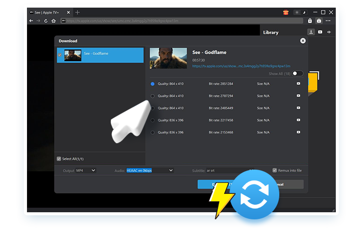 Apple TV+ Downloader Schritt 3