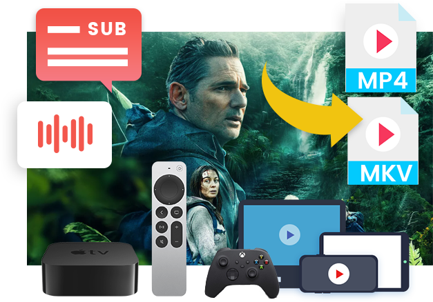Funktionen des Canal+ Downloaders