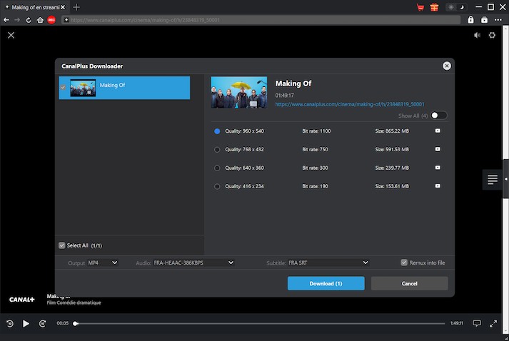 Canal+ Downloader Schritt 3