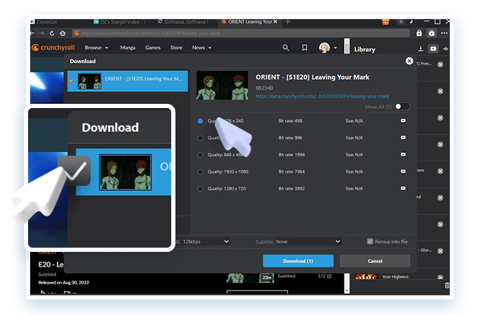 Crunchyroll Downloader Schritt 3