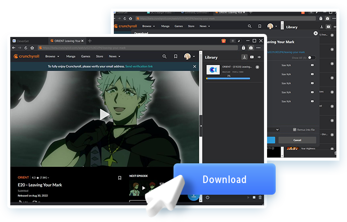 Crunchyroll Downloader Schritt 4