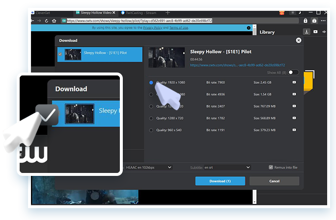 CW Downloader Schritt 2