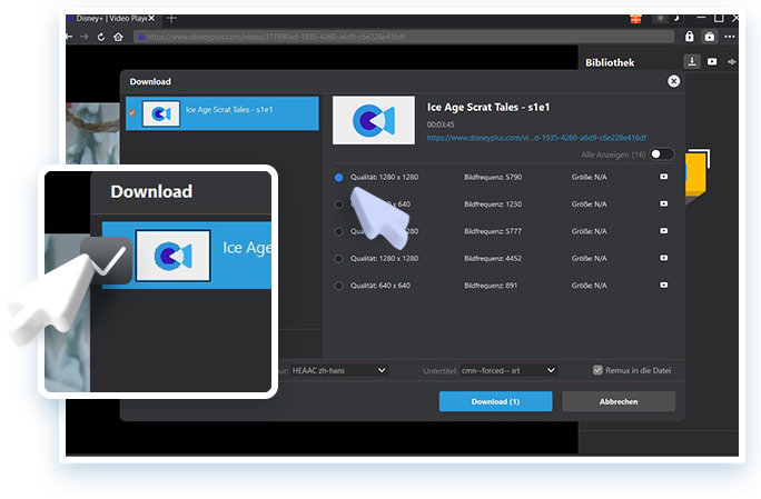Disney Plus Downloader Step3