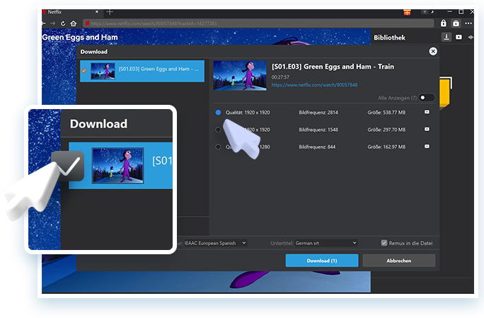 Netflix Downloader Step3