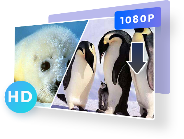 Discovery Plus Downloader-Funktionen