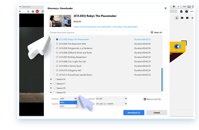 Disney Plus Downloader Schritt 4