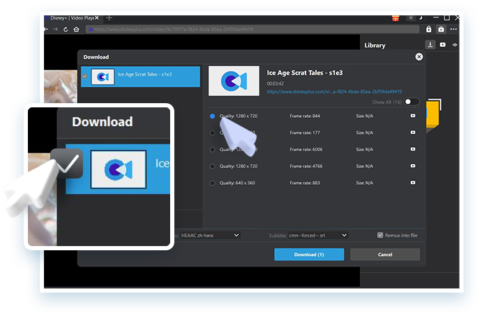 Disney Plus Downloader Passo 3