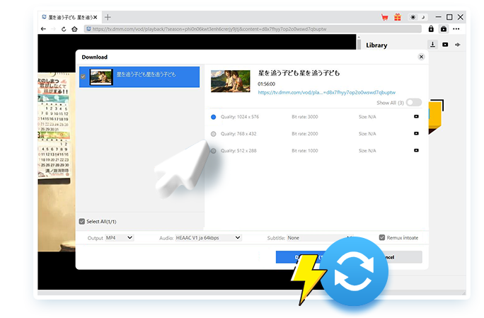 DMM Downloader Schritt 3
