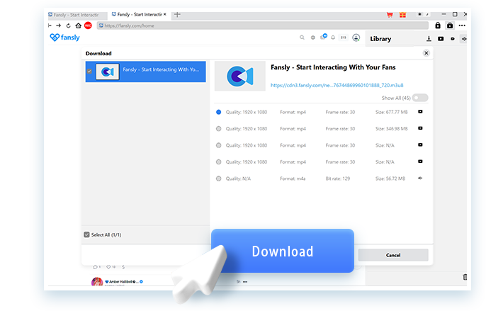 Fansly Downloader Schritt 3