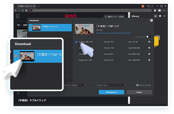 FOD Downloader Schritt 3