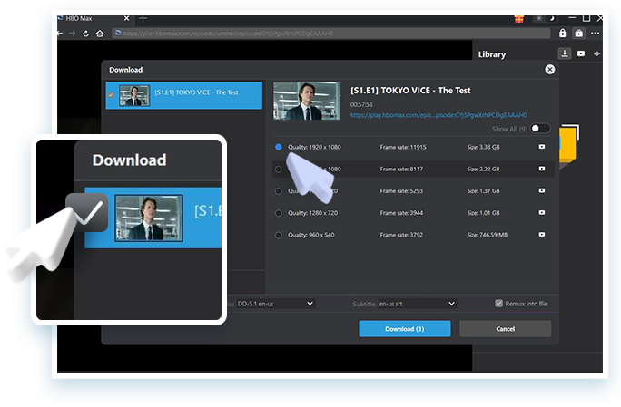 HBO Downloader Schritt 3