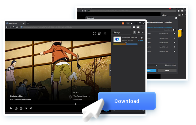 Hulu Downloader Passo 4