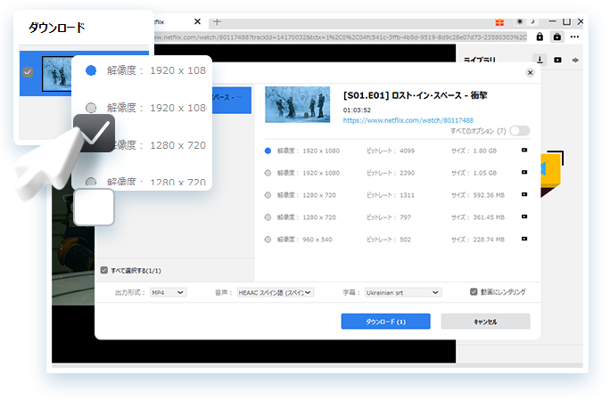 Netflix Downloader Step3