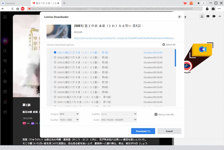 Danime Downloader Schritt 3