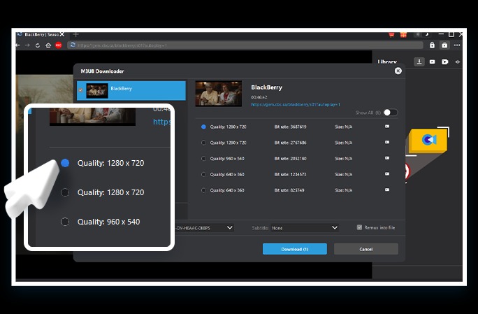 M3U8 Downloader Schritt 3