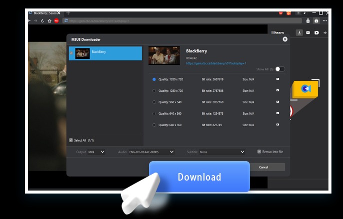 M3U8 Downloader Schritt 4