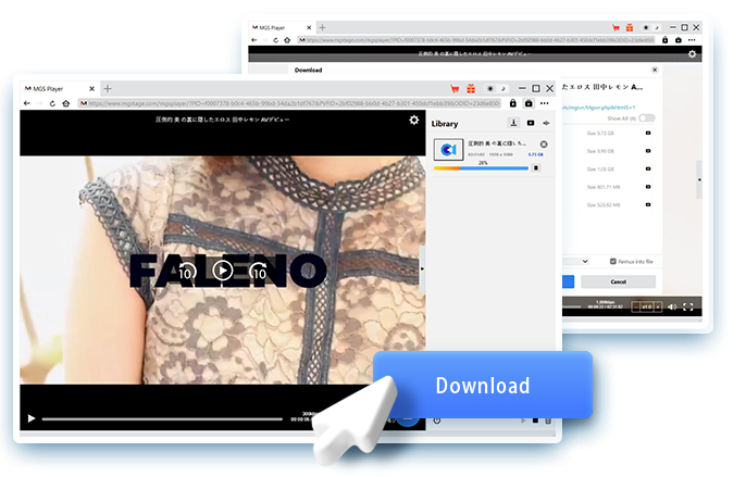 MGS Downloader Schritt 4
