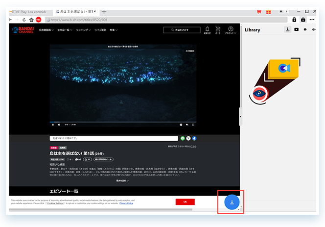 MPD Downloader Schritt 2