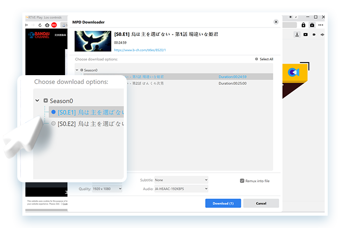 MPD Downloader Schritt 3
