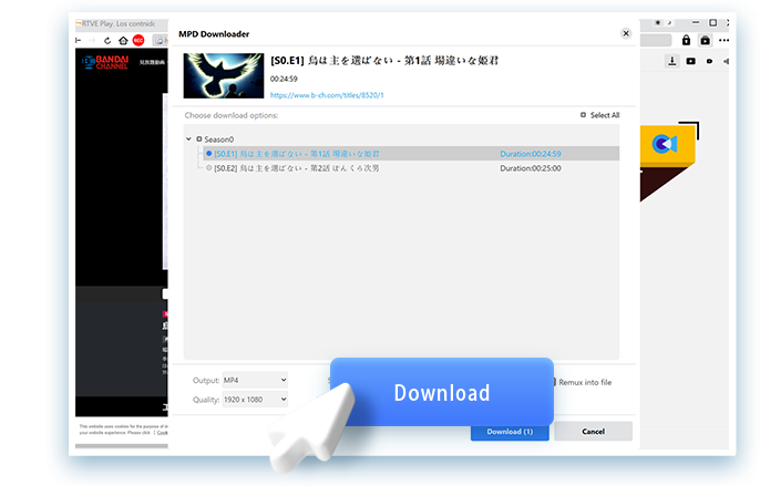 MPD Downloader Schritt 4