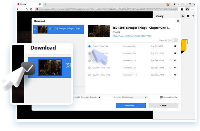 Netflix Downloader Passo 3