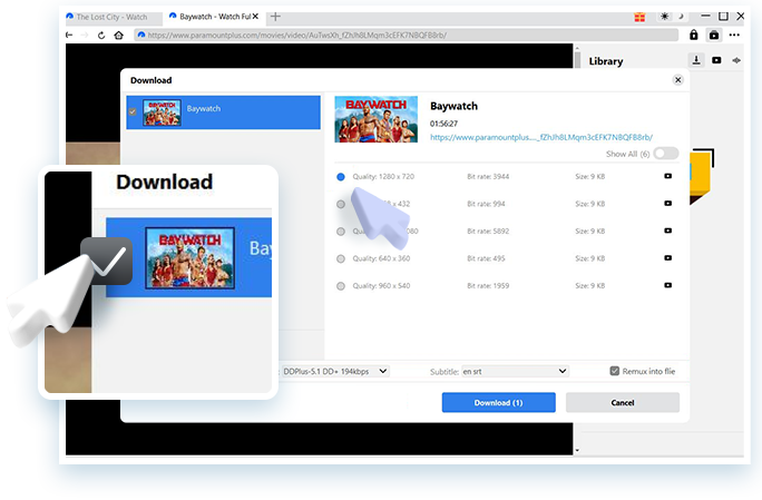 Paramount Plus Downloader Schritt 3