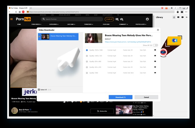 Pornhub Downloader Schritt 3