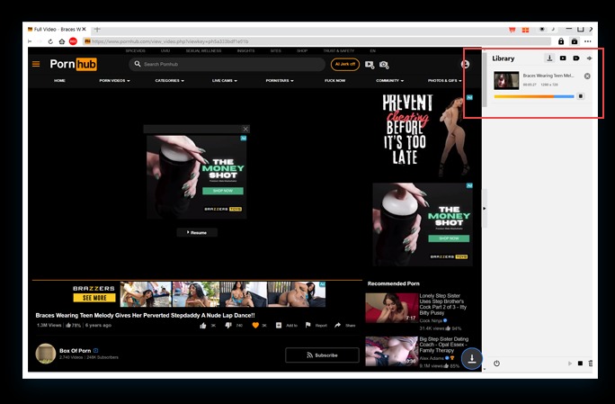 Pornhub Downloader Schritt 4
