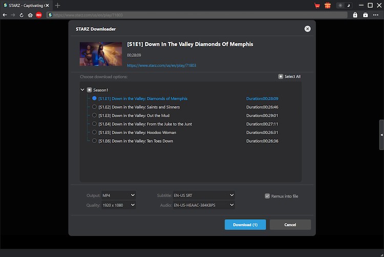 STARZ Downloader Schritt 3