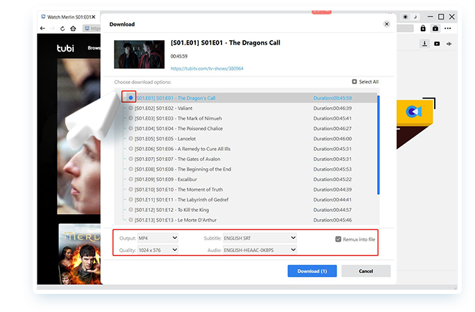 Tubi Downloader Schritt 3