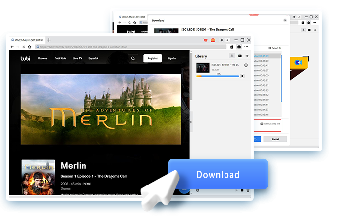 Tubi Downloader Schritt 4