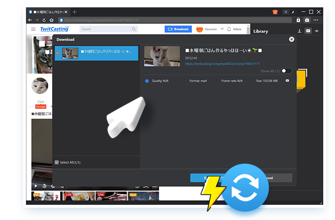 TwitCasting Downloader Schritt 2