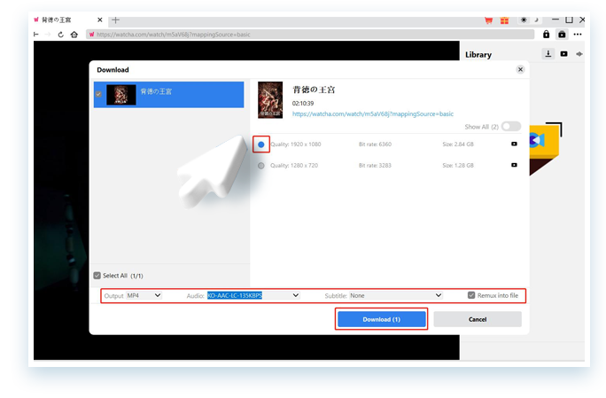 WATCHA Downloader Schritt 3