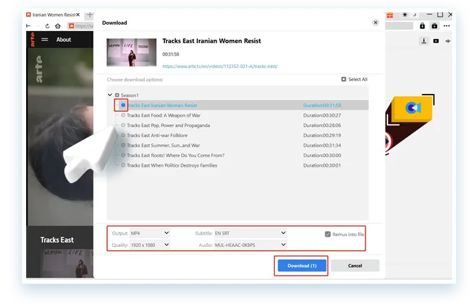 ARTE Downloader Step3