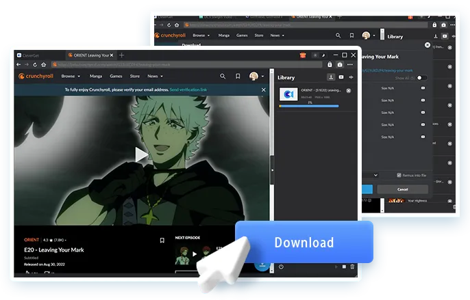 Crunchyroll Downloader Step4