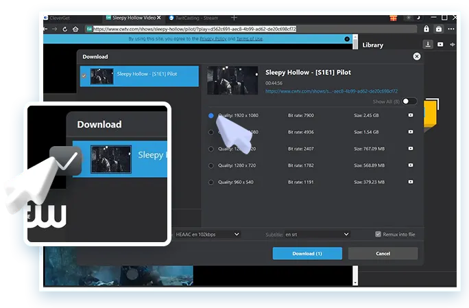 CW Downloader Step2
