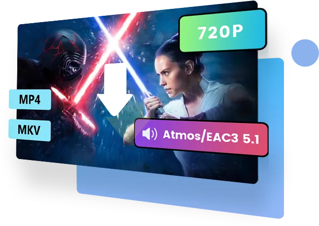 Disney Plus Downloader features