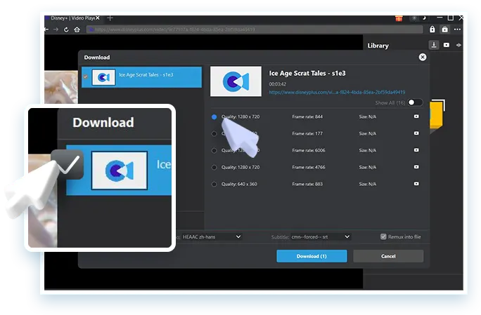 Disney Plus Downloader Step3
