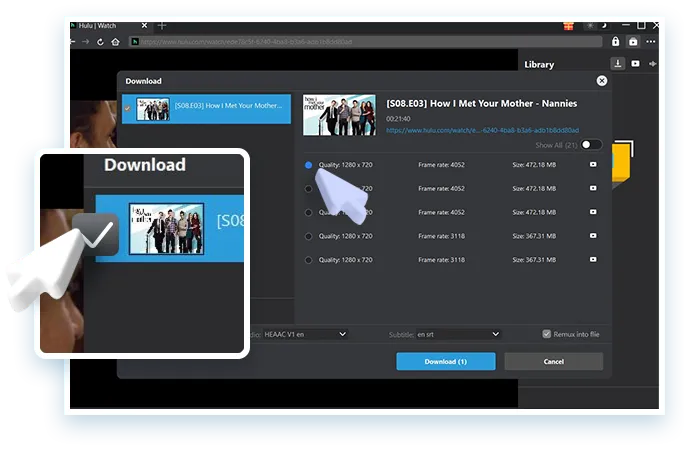 Hulu Downloader Step3