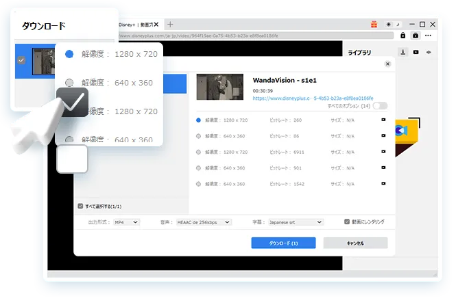Disney+ Downloader Step3