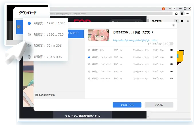 FOD Downloader Step3