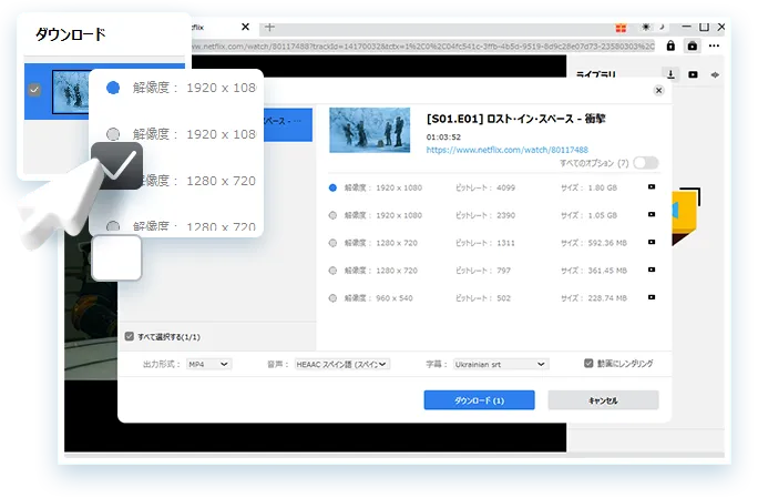 Netflix Downloader Step3