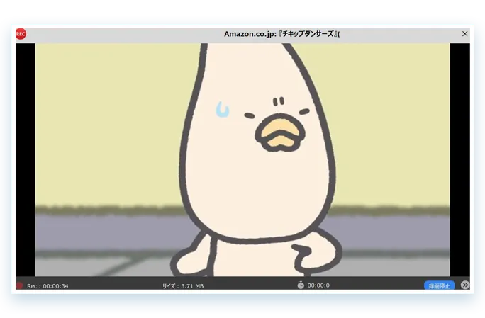 Record Video Step3