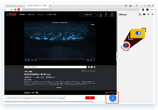 MPD Downloader Step2