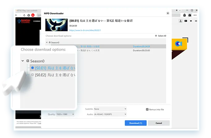 MPD Downloader Step3