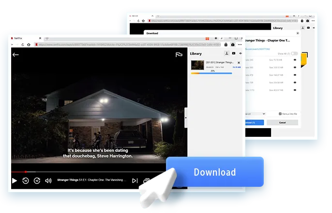 Netflix Downloader Step4