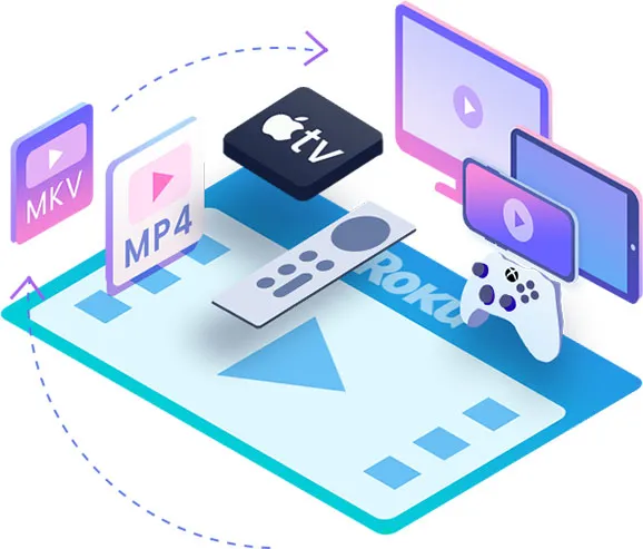 Roku Channel Downloader features