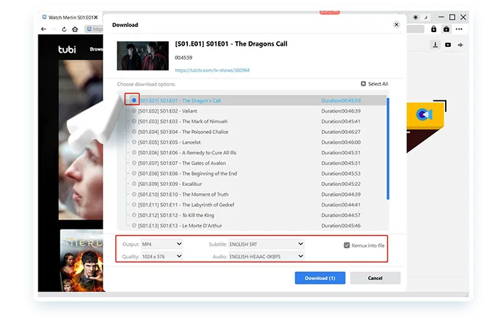 Tubi Downloader Step3