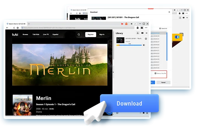 Tubi Downloader Step4