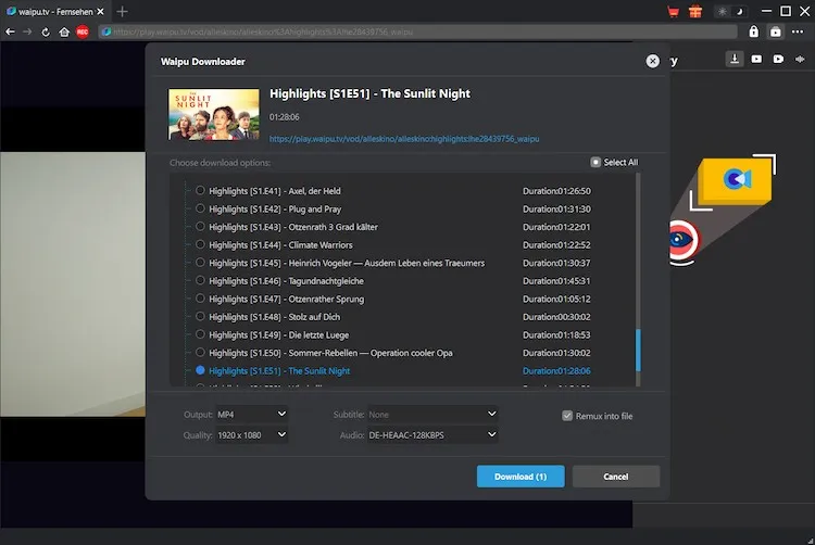 Waipu Downloader Step3